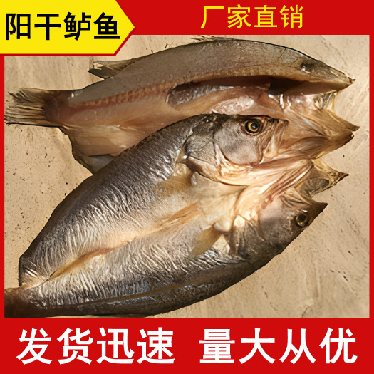 长沙阳干鲈鱼 风干鲈鱼 活鱼现杀 肉质细嫩 高端的口感平民的价格