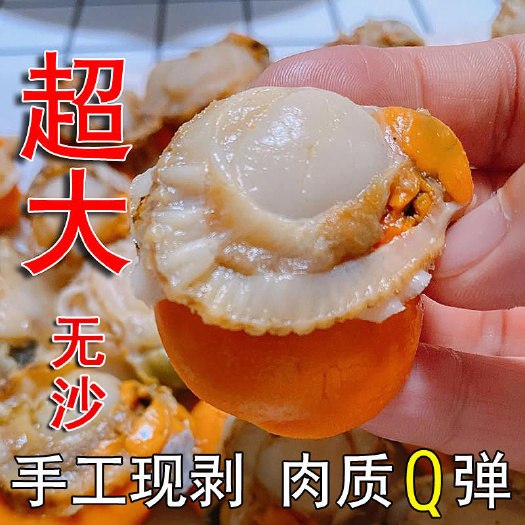 日照特大号扇贝肉海捕扇贝新鲜冷冻贝肉全贝