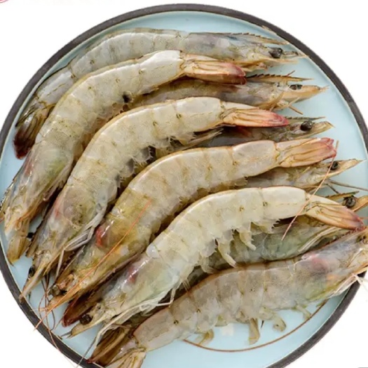 南美白对虾 对虾