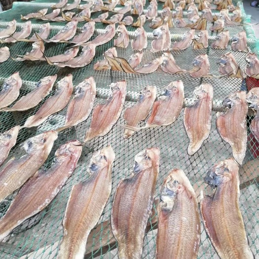 遂溪县鳝鱼干 批发。O添加剂天然鱼干