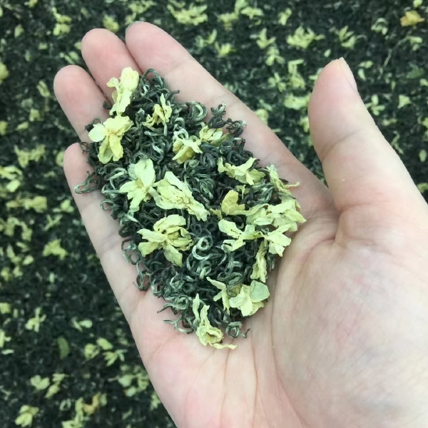 今年新茶 茉莉花茶 六窨飘雪 碧潭飘雪 500g包邮