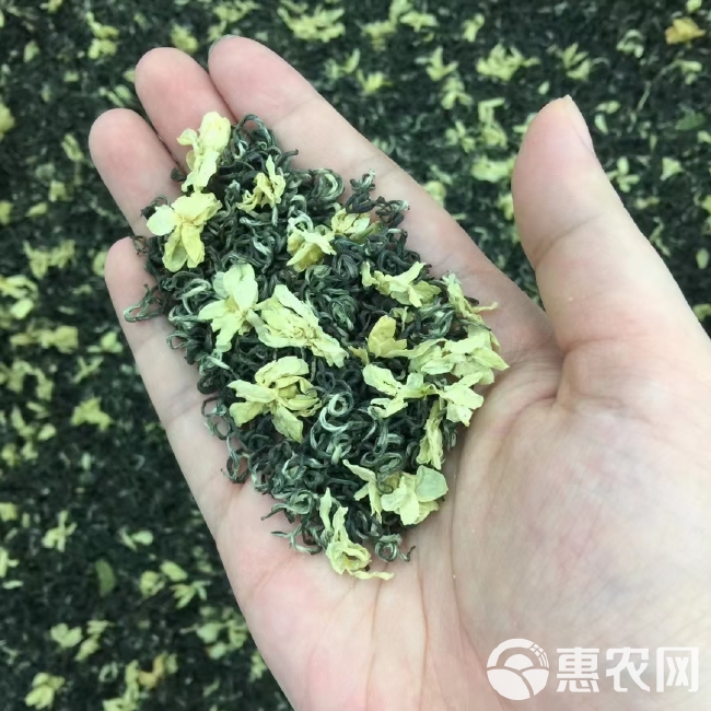 今年新茶 茉莉花茶 六窨飘雪 碧潭飘雪 500g包邮