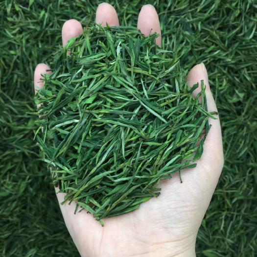 黄山毛峰茶  黄山毛峰绿茶 今年明前新茶 500g包邮