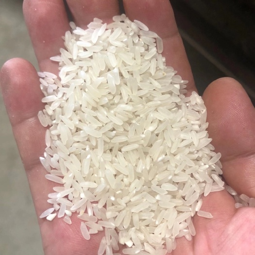 天门市香米 优质新米，厂家直供
