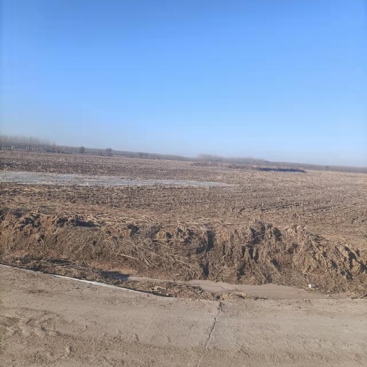 旱地 土地流转