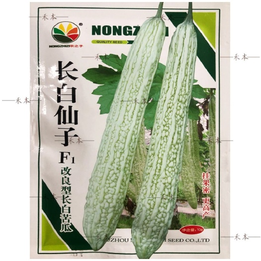 农之子长白仙子苦瓜种子