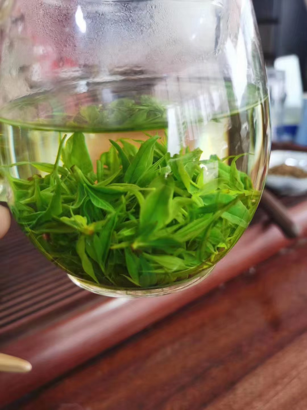 明前小叶苦丁茶 今年新茶绿茶 青山绿水500g包邮