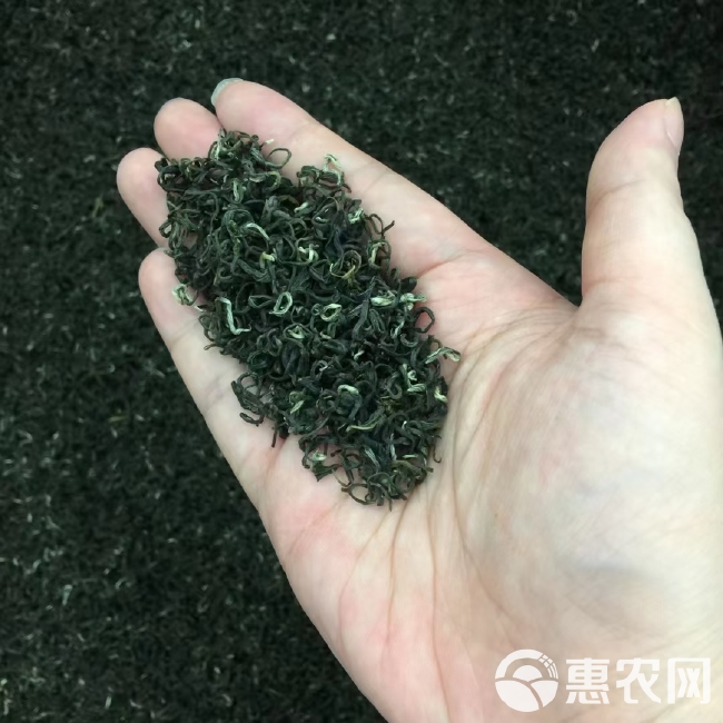 碧螺春  苏州明前碧螺春绿茶 500g包邮 茶农直销