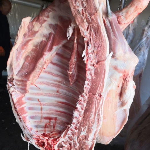 民勤县 羊肉