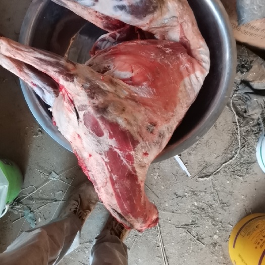 原平市羊肉类 自家的羊肉出售，新鲜羊肉