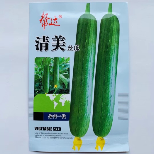 沭阳县丝瓜种子帮达清美耐热抗性好瓜皮翠绿色油亮有光泽清香味浓丝瓜