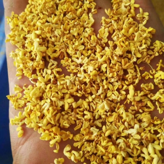阳朔县桂花茶 广西壮族自治区桂林市阳朔县 本品不能代替药物 202