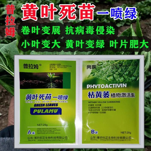 隆回县中量元素水溶肥  黄叶烂根死苗一喷绿叶面肥蔬菜花卉果树植物通用绿叶微量元素肥