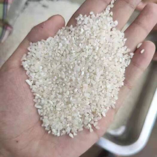 沙洋县 碎大米，碎米