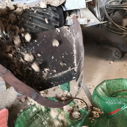 乌兰浩特稻草草球饲料秸秆草球饲料牧草草球饲料喂牛羊马颗粒饲料