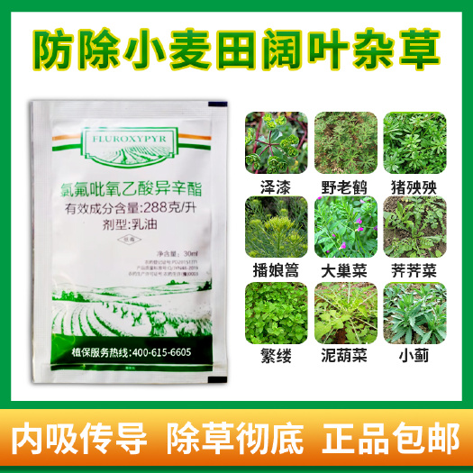郑州氯氟吡氧乙酸异辛酯288克/升小麦除猪秧秧泽漆等阔叶杂草包