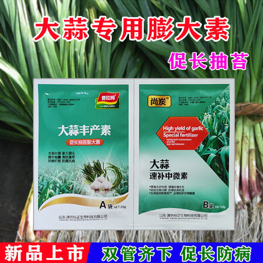 隆回县中量元素水溶肥  大蒜专用膨大素蒜苔独头蒜蒜苗蒜类作物全生长期适用氨基酸水溶肥