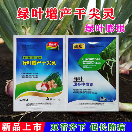 隆回县中量元素水溶肥  绿叶增产干尖灵洋葱香葱小葱蒜头蒜苗生姜沙姜膨根素氨基酸水溶肥