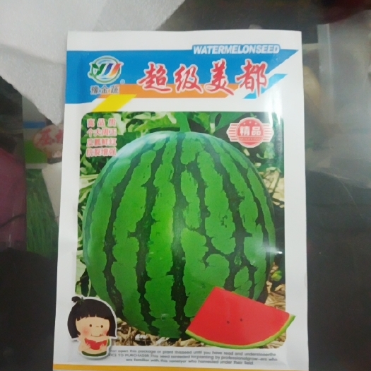 夏邑县美都西瓜种子  超级美都400粒