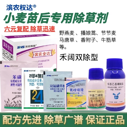 滨农全达小麦苗后除草剂雀麦甲基二磺隆节节麦野燕麦麦篙农