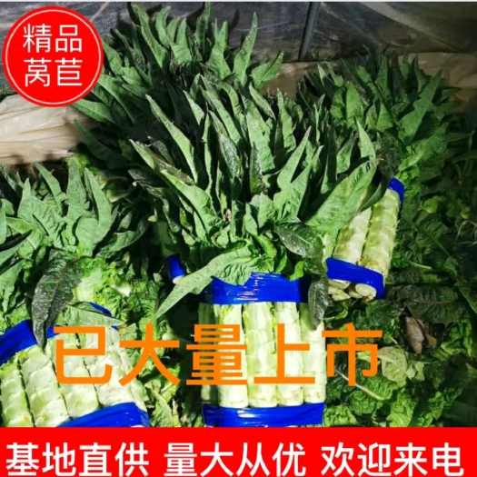 宿州红叶莴笋  种植面积大，质量好价格，颜色鲜艳，无列口黑心，