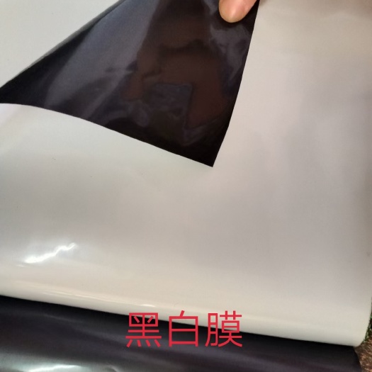 广州棚膜 黑白膜