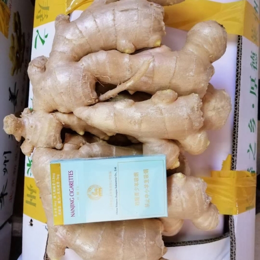 莱州市 原产地直销生姜莱州