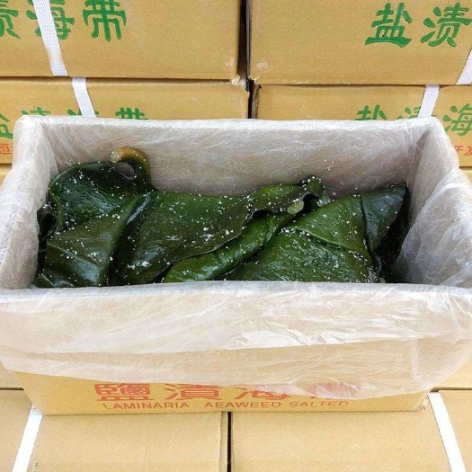 贵阳盐渍干海带  干海带 ，一箱净重18斤，泡发后60斤上点