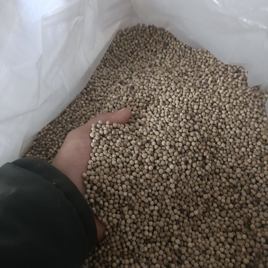 商河县白胡椒 干胡椒 颗粒 