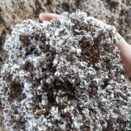 昌吉市 新疆南北疆棉籽壳（棉皮）
