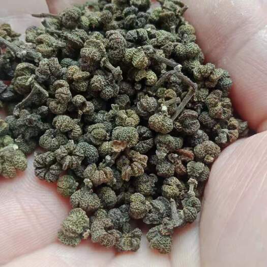 融水县 吴茱萸