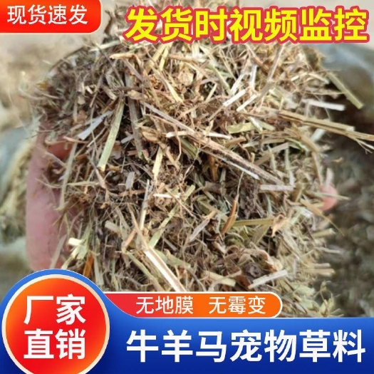正阳县花生秧秸秆 干的扎手 无土无膜无霉变 质量保证（视频看货）