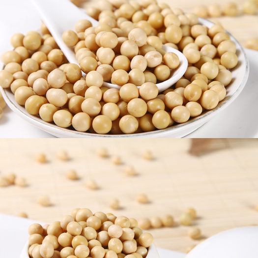 大连小黄豆 农村出售大豆花生