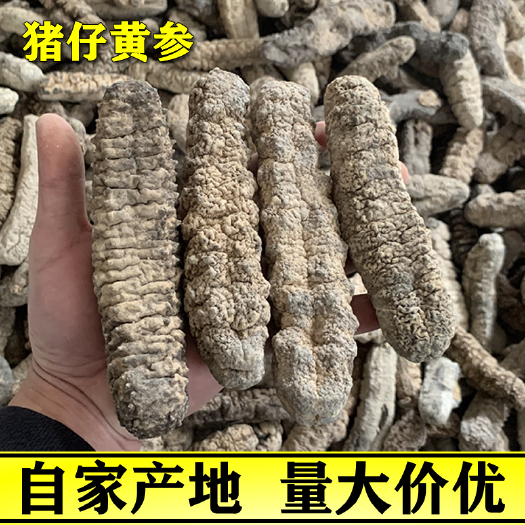 茂名 猪仔黄参干货7-18头印尼淡干猪子王足干大黄肉海参厚肉黄玉参