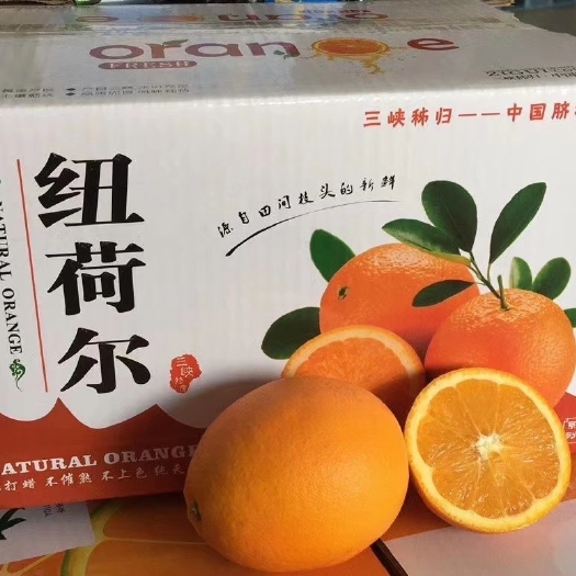 秭归县长虹脐橙  秭归