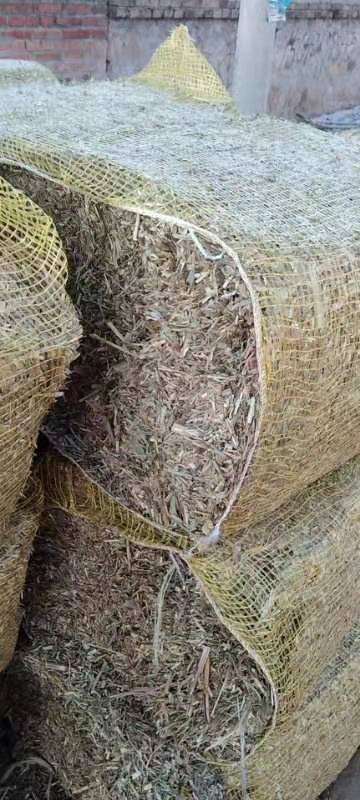 建平县干草 出售过冬谷草块。质量好。无土无膜。价格美丽。