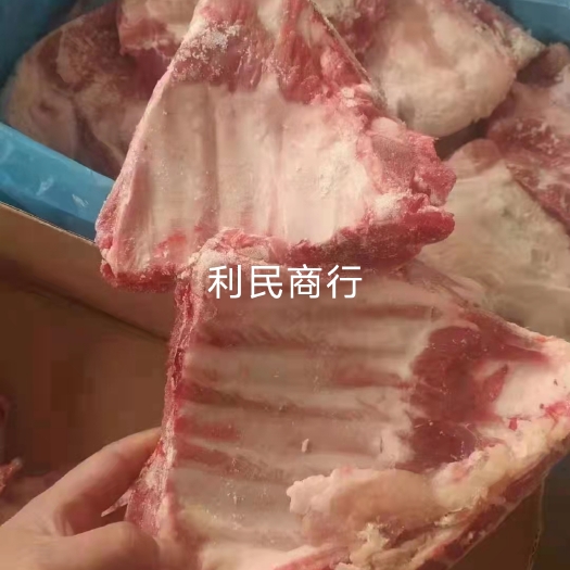成都猪排骨 小排，猪排，排骨