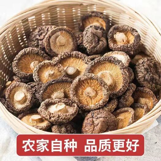 义乌市椴木菇 香菇干500g 新货香菇肉厚无根干香菇 蘑菇冬菇干