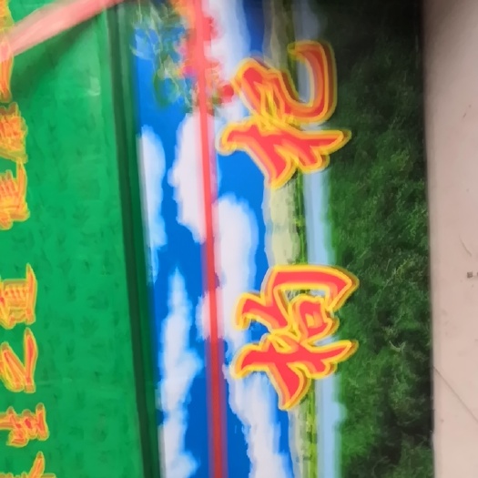 枣庄红枸杞   正宗宁夏中宁枸杞子特级大果40斤一箱