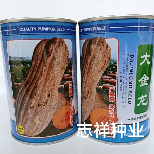 华容县上海沪研大金龙蜜本南瓜种子杂交中早熟肉橙红色粉甜可口