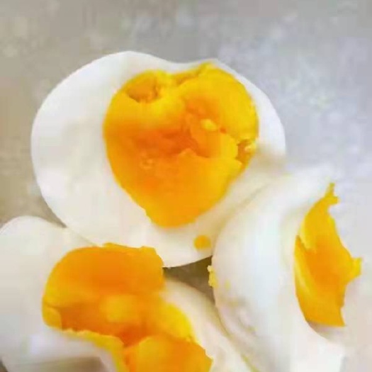 石家庄白壳蛋   无抗草本健康鸡蛋 中药食材构树饲养