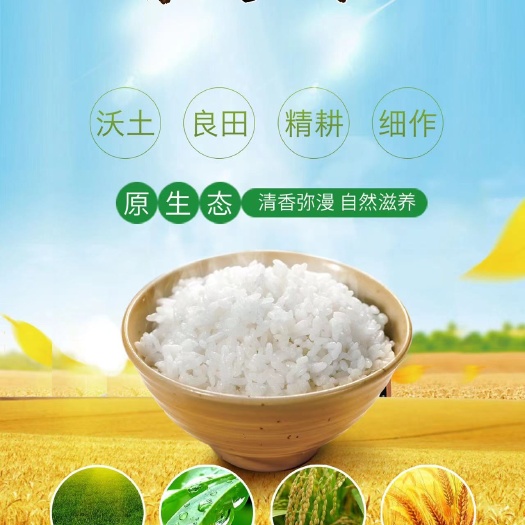 开原市东北磁化水弱碱米纯绿色健康无污染大米民以食为天 送礼送健康