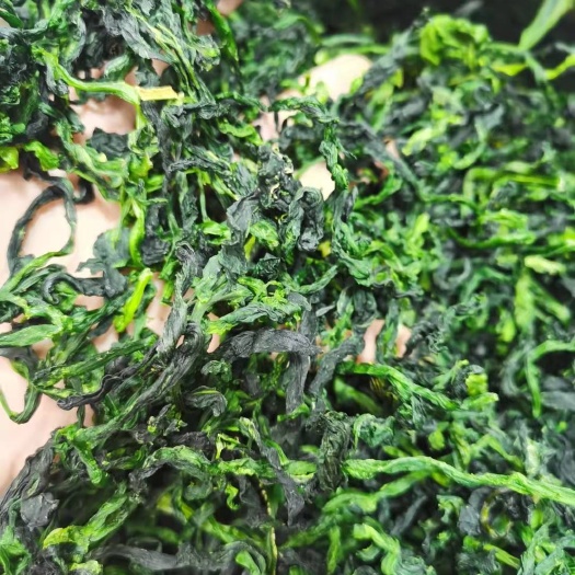 沈阳万年青菜干 整棵万年青，脱水菜心，万年青。