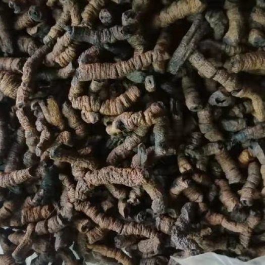 德庆县九制巴戟天，统货，九蒸九制巴戟天，产地直销，一手货源