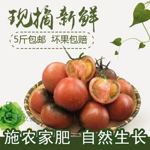 盘山县碧娇圣女果 口感好。老年人，孕妇，血糖高的人都能吃