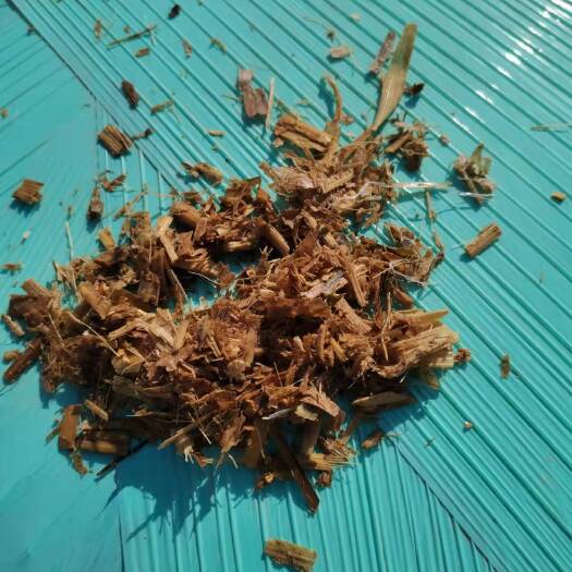 虞城县黄贮玉米秸秆