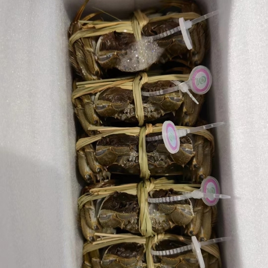 苏州阳澄湖镇蟹王市场正宗大闸蟹礼盒
量大更优惠