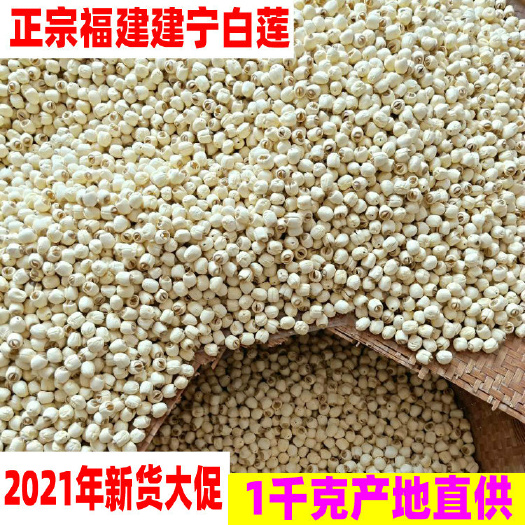 白莲子 莲子 去芯无硫湘莲子 优质手剥莲规格齐全 可供大货批