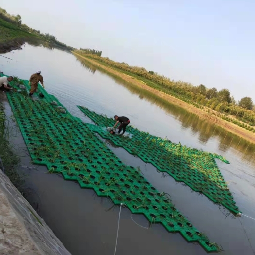 安新县生态浮床 生态浮岛