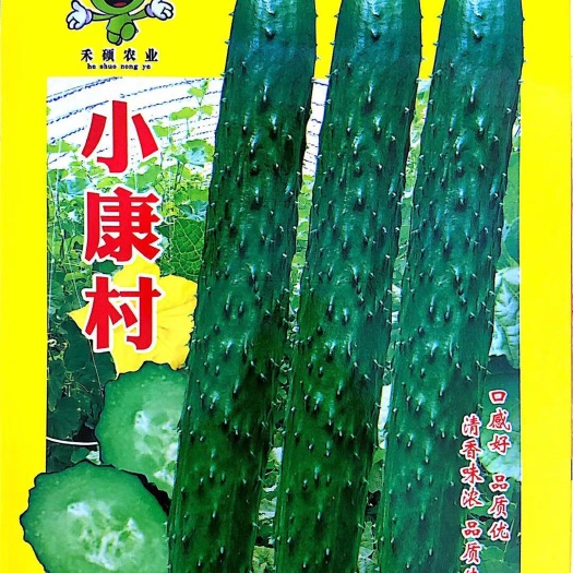 沭阳县水果黄瓜种子 早春黄瓜种子 小康村黄瓜种子 口感好 品质好 清香味浓